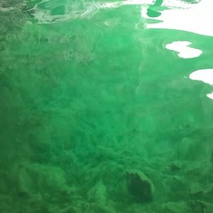 Meet your Posher, Brady